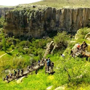 Halal Travel Guide to Cappadocia 2026: Muslim-Friendly Tips