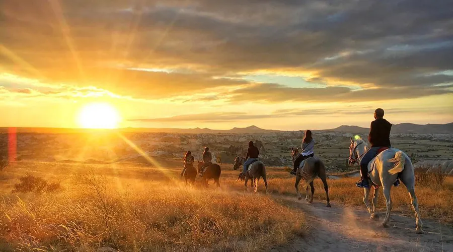 Sunset Horseback Riding Tour (Group)