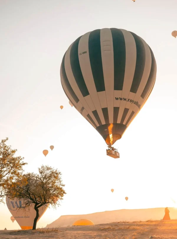 Premium hot air balloon flight over Cappadocia valleys at sunrise.